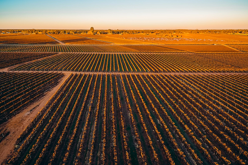 Riverland South Australia